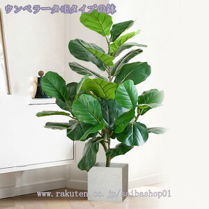 1000~OFFN[| lHϗtA tFCNO[ ^ i` A gsJA tAvg z[ ItBX oRj[ rO  ̑p  tFCNO[