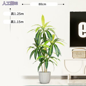 1000~OFFN[| tFCNO[ tFCNO[ lHϗtA tFCNϗt  CeA ^  ƒ 悯oRj[ Iȑ z̃Mtg CeAO[ l