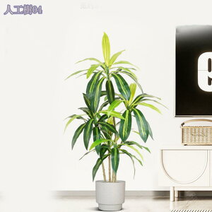 2000~OFFN[| tFCNO[ A lHAJV tFCNϗtA lHϗtA vX`bN tFCNvg ItBX nEX t@[nEX z[fR[V rO