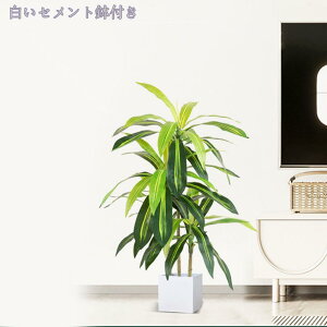 2000~OFFN[| lHA ^ tFCNO[ lHϗtA  AȎ} Rȗt ȒP sv Q쏜sv  ƒ 悯oRj[  Iȑ z̃M