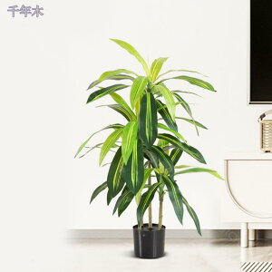 3500~OFFN[| lHA tFCNO[ tFCNA _ ^ AȎ} Rȗt t CeA ItBX j sv ͂Ȃ ~͐A sv ԕ Q