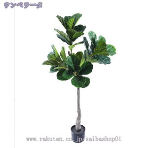 1000~OFFN[| lHA ^ tFCNO[ lHϗtA  AȎ} Rȗt ȒP sv Q쏜sv  ƒ 悯oRj[  Iȑ z̃M