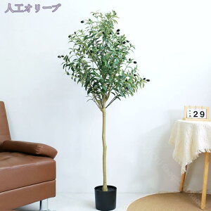 2000~OFFN[| lHϗtA A tFCNϗtA tFCNO[ CeA  O tFCNA lHϗtA ͂Ȃ ~͐A @ׂȎ Rȕ͋C AȎ}