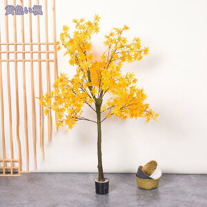 1000~OFFN[| lHϗtA tFCNO[  ^ tFCNO[ AȎ} Rȗt CeA  lHϗtA lHJVoSmL z[ ItBX  