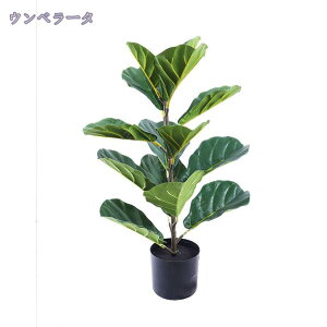 1000~OFFN[| Ex[^ tFCNO[ ^ lHϗtA  ȒP sv Q쏜sv O  ƒ 悯oRj[ Iȑ z̃Mtg AȎ} R