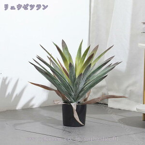 2000~OFFN[| lHϗtA CeA A  tFCNO[ ^ϗtA Ȃ` tFCNϗtA  ItBX Xܑ oRj[ ̑p rO 