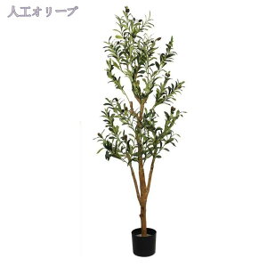 2000~OFFN[| tFCNO[ tFCNϗtA lHϗtA ^  CeA A  ϗt Vv ItBX lHϗt lHϗtA tFCNO[ CeA