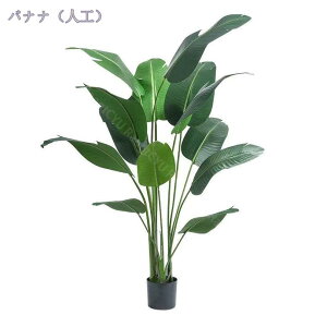 1000~OFFN[| lHϗtA tFCNO[ V tFCNA rO ItBX  O sv ͂Ȃ ^ y CeA lHϗtA  G A tFCNO