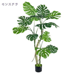 1000~OFFN[| tFCNO[ lHA ^ tFCNA gsJA tFCNc[ ^tAvg z[ ItBX oRj[ rO  ̑p lHϗtA