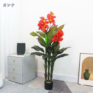 lHϗtA tFCNA tFCNO[ ^  CeA lHA lHϗt A ȒP sv Q쏜sv CeA tFCNϗtA ^ tFCNO[ lH