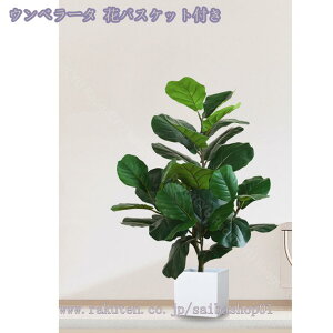 2000~OFFN[| lHϗtA ^ CeA { A @ׂȎ i` ItBX z[  ƒp 悯oRj[ Ȓ  A Ύ tF