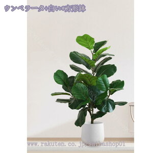 1000~OFFN[| lHϗtA ^ CeA { A @ׂȎ i` ItBX z[  ƒp 悯oRj[ Ȓ  A Ύ tF