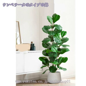 2000~OFFN[| lHϗtA A tFCNϗtA tFCNO[ CeA  O tFCNA lHϗtA ͂Ȃ ~͐A @ׂȎ Rȕ͋C AȎ}