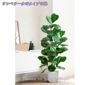 2000~OFFN[| lHϗtA A tFCNϗtA tFCNO[ CeA  O tFCNA lHϗtA ͂Ȃ ~͐A @ׂȎ Rȕ͋C AȎ}