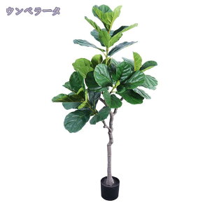 lHA tFCNO[ ^ lHϗt tFCNϗtA Vv t  b炸 sv ItBX  CeA z[ fR[V A zj Vz