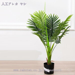 1000~OFFN[| ^ lHϗtA tFCNO[ tFCNA ItBX JtF f[ ze lHA ȑ X܂̑ A SzȂ gsJA lHM