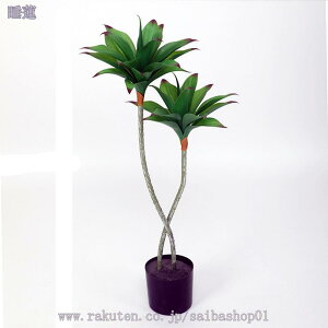 1000~OFFN[| tFCNO[ lHϗtA ^ϗt CeA ȒP ƒ 悯oRj[ rO   Iȑ z̃MtgɍœK Xe tFCNO[