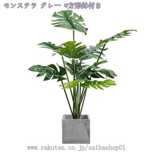 2000~OFFN[| lHϗtA ^ 傫 lHϗt A CeA   tFCNO[ lHϗtA i p ItBX ȒP sv Q̐Sz