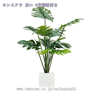 1000~OFFN[| tFCNO[ ^ AȎ}Ɨt Ȓ ItBX   rO ItBX ɒuA CeA p lHA ȑ X܂̑ A