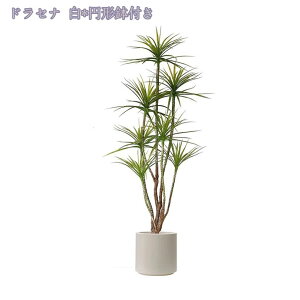 2000~OFFN[| tFCNO[ tFCNA Rȕ͋C sv Q̐SzȂ ^ AȎ} Rȗt CeA z ItBX tFCNgsJA fR[