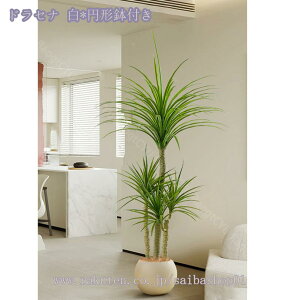 2000~OFFN[| tFCNO[ ^ ϗtA tFCNO[ A  i` j Vz JX J a Cxg fBXvC K {^jJ  p z[ 