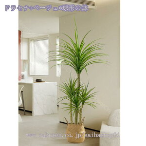 1000~OFFN[| lHϗt ^ A 傫 tFCNO[ lHϗtA rO̊ϗtA ɒuA ̊ϗtA ɏA tFCNϗt  킢 