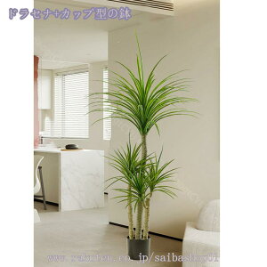 2000~OFFN[| tFCNO[ ^ ϗtA tFCNO[ A  i` j Vz JX J a Cxg fBXvC K {^jJ  p z[ 