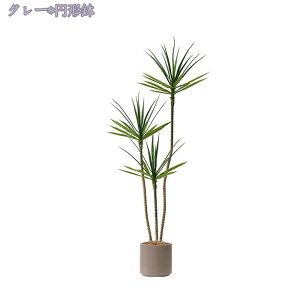 1000~OFFN[| tFCNO[ ^ ϗtA tFCNO[ A  i` j Vz JX J a Cxg fBXvC K {^jJ  p z[ 