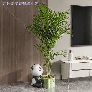 2000~OFFN[| lHϗtA ^ ϗt CeA ȒPی _ ItBX z[  ƒp 悯oRj[ fR[V zMtg tFCNO[ @ׂȎ {