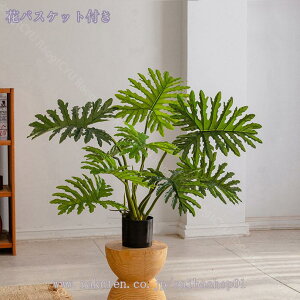 2000~OFFN[| tFCNO[ ^ lHϗtA tFCNϗt  CeA  ƒ 悯oRj[ ȒP sv Q쏜sv tFCNO[ z̃Mtg 