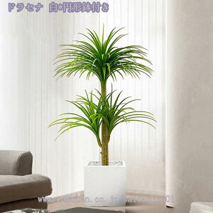 1000~OFFN[| lHϗtA ^ lHϗtA  CeA tFCNA ~͐A 邢 u₩ȕ͋C    rO xbh[ tFCNA Iȑ tFC