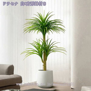 2000~OFFN[| lHϗtA ^ lHϗtA  CeA tFCNA ~͐A 邢 u₩ȕ͋C    rO xbh[ tFCNA Iȑ tFC