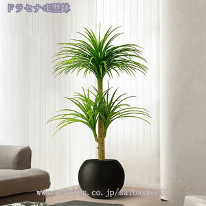 2000~OFFN[| lHϗtA ^ ϗt ItBX z[  ƒp 悯oRj[ fR[V CeA ȒPی _ zMtg tFCNO[ @ׂȎ {