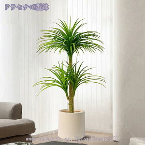 2000~OFFN[| lHϗtA ^ lHϗtA  CeA tFCNA ~͐A 邢 u₩ȕ͋C    rO xbh[ tFCNA Iȑ tFC