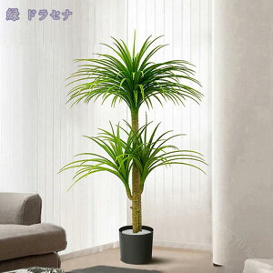 2000~OFFN[| lHϗt ^ A 傫 tFCNO[ lHϗtA rO̊ϗtA ɒuA ̊ϗtA ɏA tFCNϗt  킢 