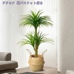 2000~OFFN[| lHϗt ^ A 傫 tFCNO[ lHϗtA rO̊ϗtA ɒuA ̊ϗtA ɏA tFCNϗt  킢 