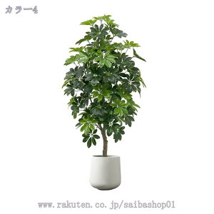 1000~OFFN[| tFCNO[ ^ lHϗtA tFCNϗt  CeA  ƒ 悯oRj[ ȒP sv Q쏜sv tFCNO[ z̃Mtg 