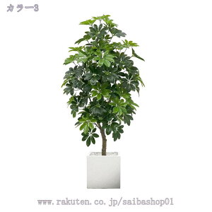 1000~OFFN[| tFCNO[ ^ lHϗtA tFCNϗt  CeA  ƒ 悯oRj[ ȒP sv Q쏜sv tFCNO[ z̃Mtg 