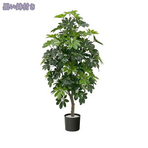 2000~OFFN[| lHϗtA ^ lHO[A V~[VO[A tFCNO[ ϗtAtFCN lHϗtA tԕEQ̐SzȂ i  ~ tFC