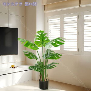 1000~OFFN[| lHϗtA tFCNVNWX~ ^  tFCNO[ lH tFCNA sv ͂Ȃ ~͐A CeA  O ze a v[