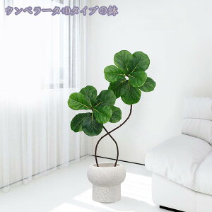 1000~OFFN[| tFCNO[ tFCNO[ lHϗtA tFCNϗt  ^  ƒ 悯oRj[  Iȑ z̃MtgɍœK ȒP sv Q