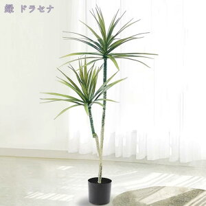 1000~OFFN[| lHϗtA tFCNVNWX~ ^  tFCNO[ lH tFCNA sv ͂Ȃ ~͐A CeA  O ze a v[