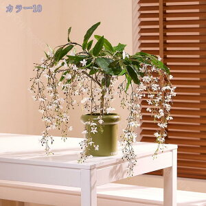 2000~OFFN[| tFCNO[ A lHAJV tFCNϗtA lHϗtA vX`bN tFCNvg ItBX nEX t@[nEX z[fR[V rO