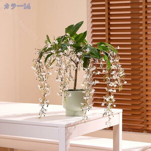 2000~OFFN[| tFCNO[ A lHAJV tFCNϗtA lHϗtA vX`bN tFCNvg ItBX nEX t@[nEX z[fR[V rO