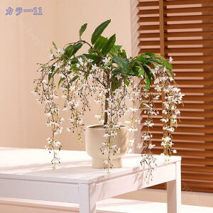 1000~OFFN[| tFCNO[ tFCNO[ lHϗtA tFCNϗt  CeA ^  ƒ 悯oRj[ Iȑ z̃Mtg CeAO[ l