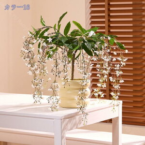 2000~OFFN[| tFCNO[ tFCNO[ lHϗtA tFCNϗt  CeA ^  ƒ 悯oRj[ Iȑ z̃Mtg CeAO[ l