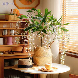 2000~OFFN[| tFCNO[ A lHAJV tFCNϗtA lHϗtA vX`bN tFCNvg ItBX nEX t@[nEX z[fR[V rO