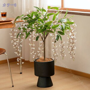 1000~OFFN[| tFCNO[ tFCNO[ lHϗtA tFCNϗt  CeA ^  ƒ 悯oRj[ Iȑ z̃Mtg CeAO[ l