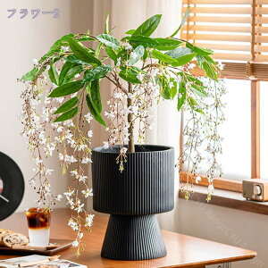 1000~OFFN[| lHϗtA tFCNO[ CeA A tFCNϗtA  O tFCNA lHϗtA @ׂȎ Rȕ͋C AȎ}Ɨt sv 