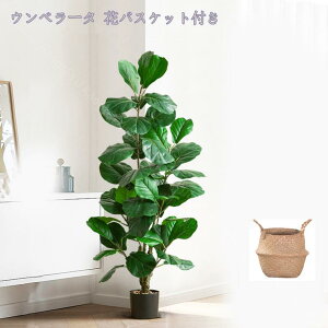 1000円OFFクーポン フェイクグリーン 大型 フェイク観葉植物 オフィス リビングルーム 屋内 おしゃれ フェイクツリー 人工観葉植物 造木 大型 大きい リビング ナチュラル 開店祝い 鉢植え リ